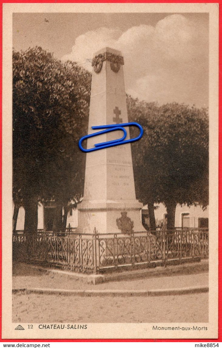 F2191  CPA  CHATEAU-SALINS (Moselle)  Monument Aux Morts  ++++++++++++ - Chateau Salins