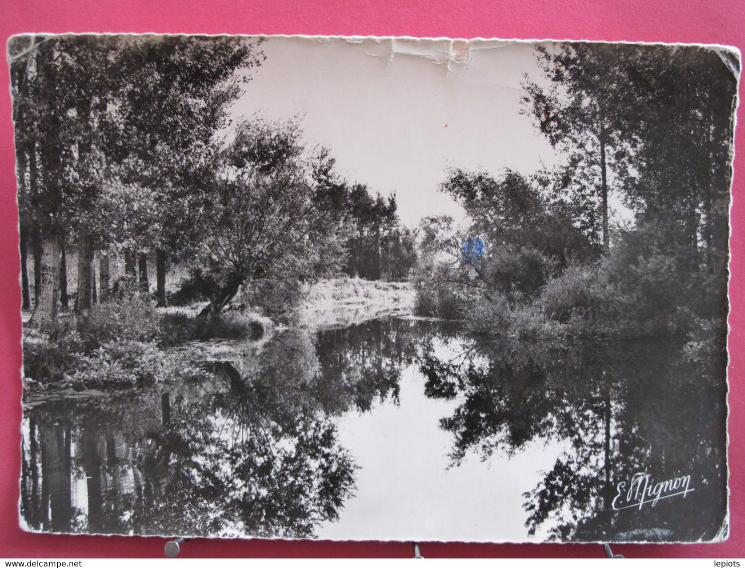 Visuel Très Peu Courant - 89 - Flogny - Les Bords De L'Armançon - R/verso - Flogny La Chapelle