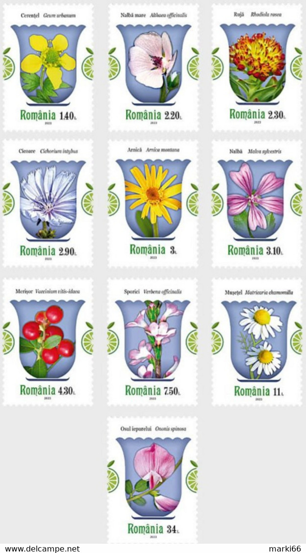 Romania - 2023 - Medicinal Plants - Mint Stamp Set - Ongebruikt