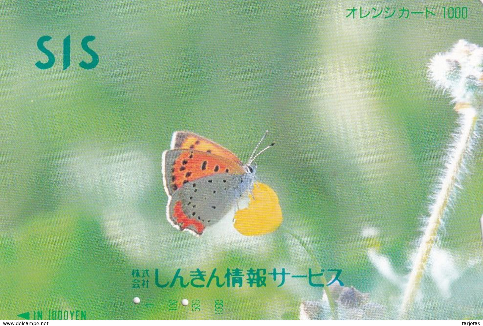 TARJETA DE JAPON DE UNA MARIPOSA (BUTTERFLY)  (no Es Tarjeta Telefonica) - Schmetterlinge
