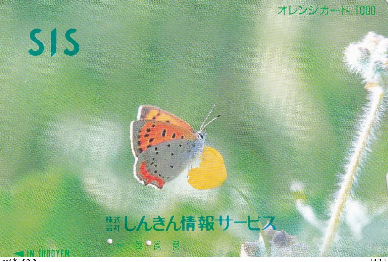 TARJETA DE JAPON DE UNA MARIPOSA (BUTTERFLY)  (no Es Tarjeta Telefonica) - Vlinders