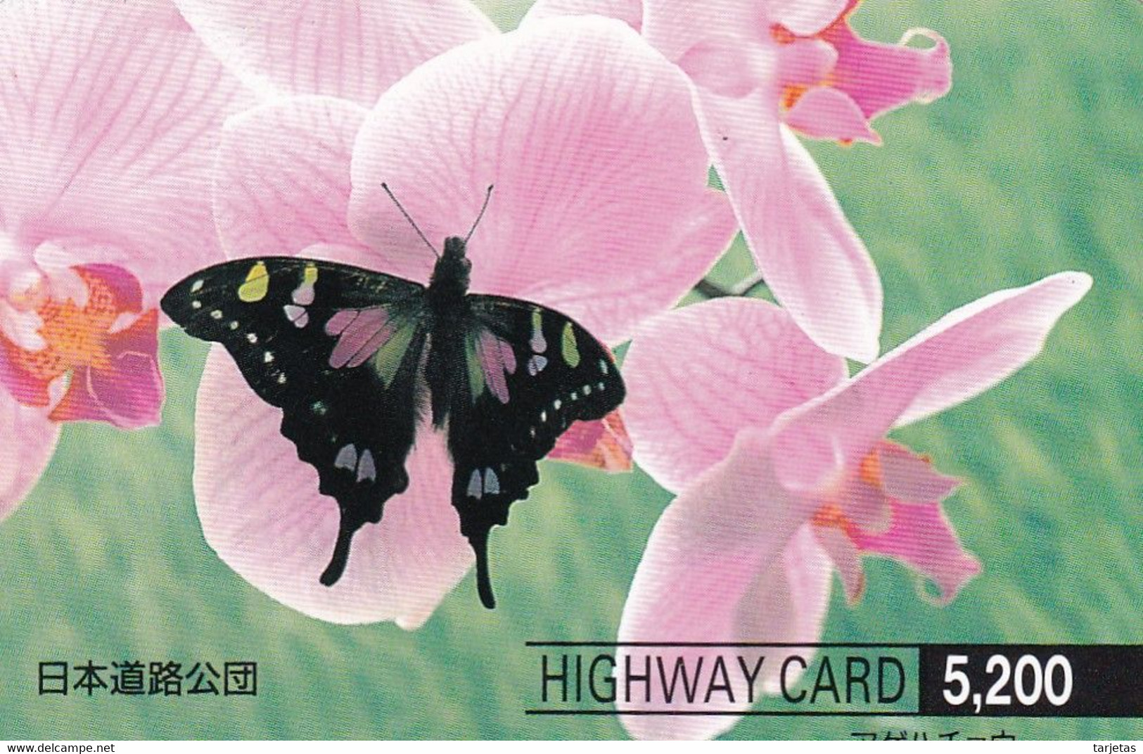 TARJETA DE JAPON DE UNA MARIPOSA (BUTTERFLY)  (no Es Tarjeta Telefonica) - Vlinders