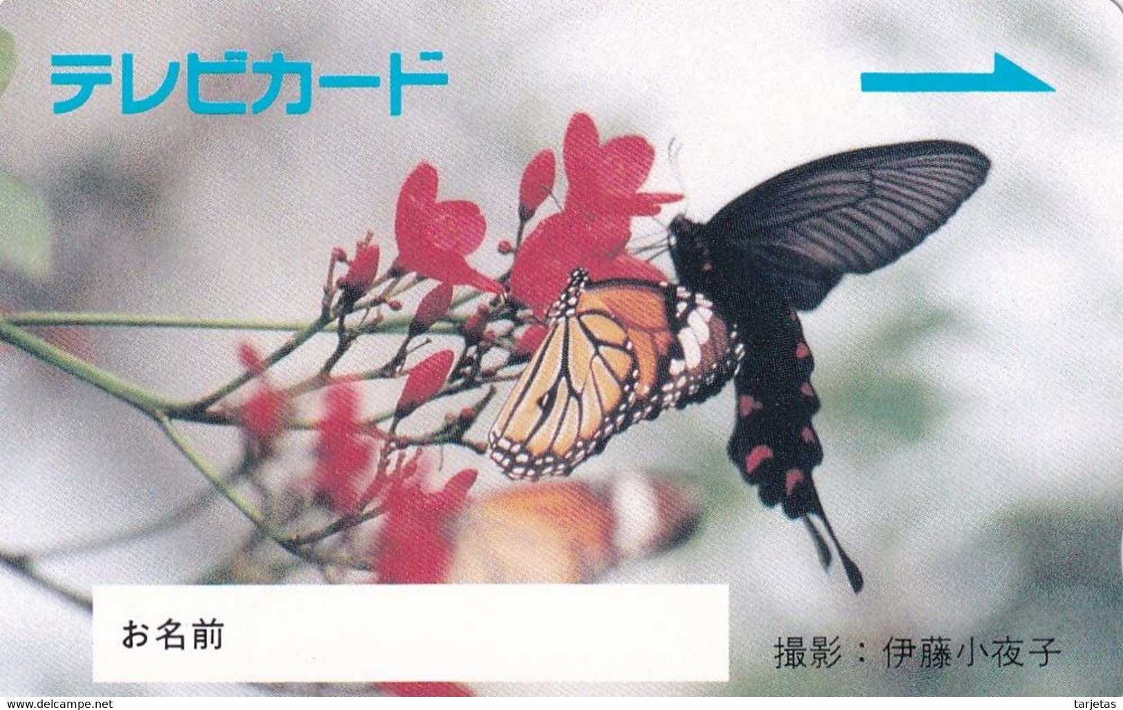 TARJETA DE JAPON DE UNA MARIPOSA (BUTTERFLY)  (no Es Tarjeta Telefonica) - Farfalle