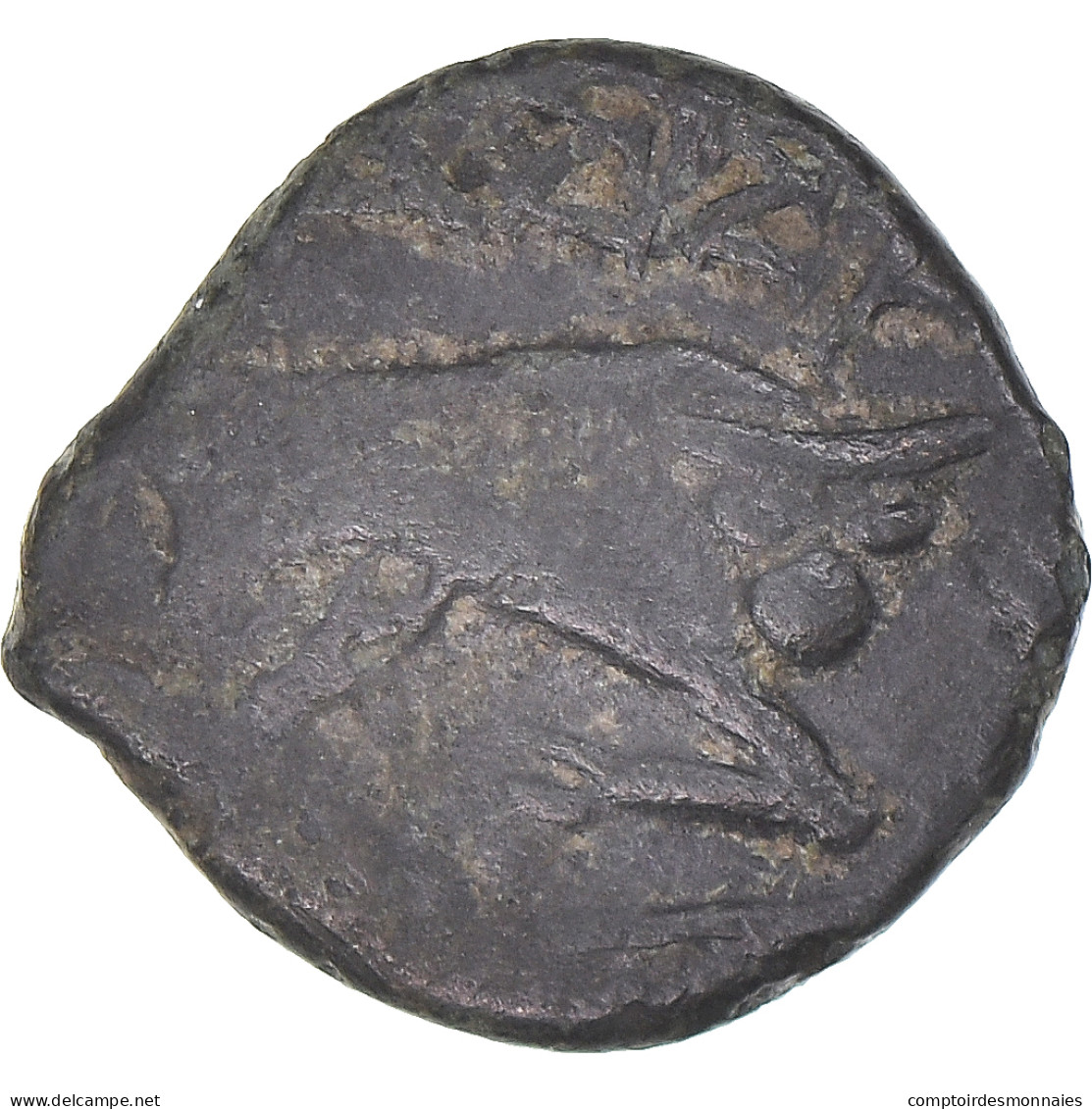 Monnaie, Massalia, Bronze Au Taureau, C. 121-49 AC., Marseille, TB+, Bronze - Gauloises