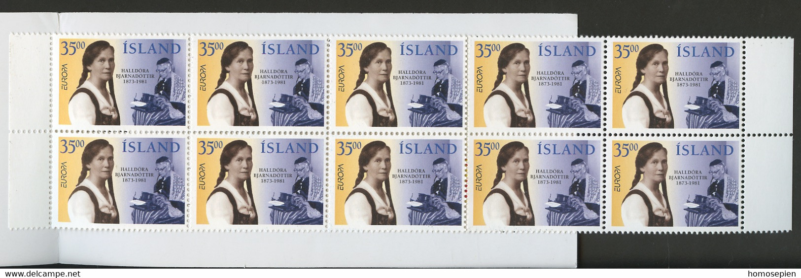 Islande - Island - Iceland Carnet 1996 Y&T N°C797 - Michel N°MH844 *** - 35k EUROPA - Booklets