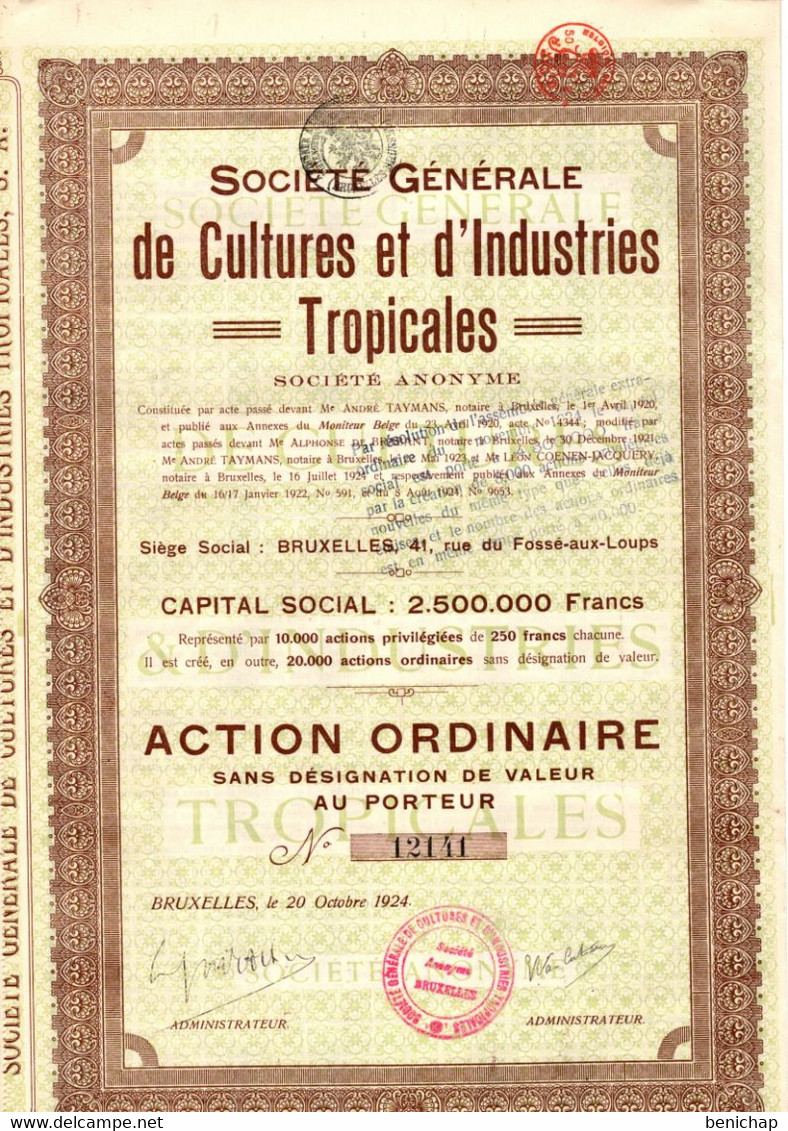 Société Générale De Cultures Et D'Industries Tropicales S.A. - Action Ordinaire - Bruxelles Octobre 1924. - Industry