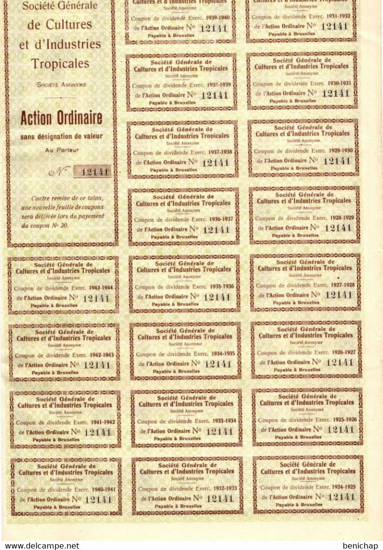 Société Générale De Cultures Et D'Industries Tropicales S.A. - Action Ordinaire - Bruxelles Octobre 1924. - Industrie