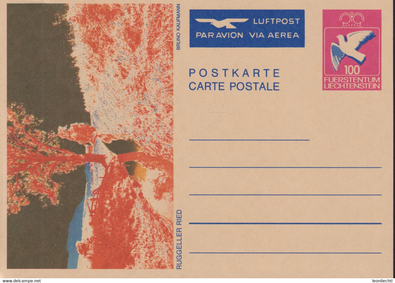 1987 Postkarte,  Ruggeler Ried V. Bruno Kaufmann, Mi LI P 84, Luftpost, Postfrisch - Entiers Postaux