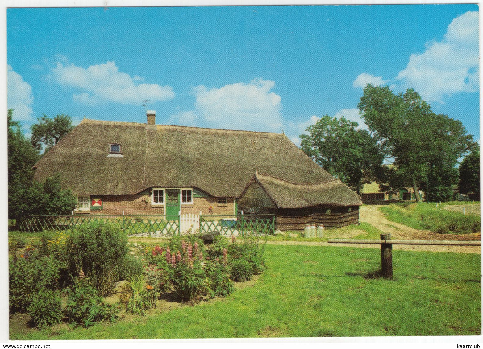 Ommen, Buurtschap Beerze: Oude Saksische Boerderij - (Nederland/Holland) - Ommen