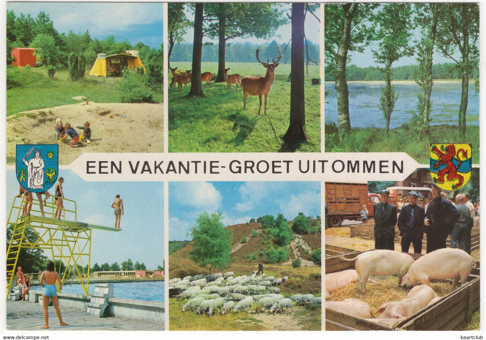Een Vakantie-groet Uit Ommen - (Nederland/Holland) - Duikplank, Zwembad, Camping, Varkens - Ommen