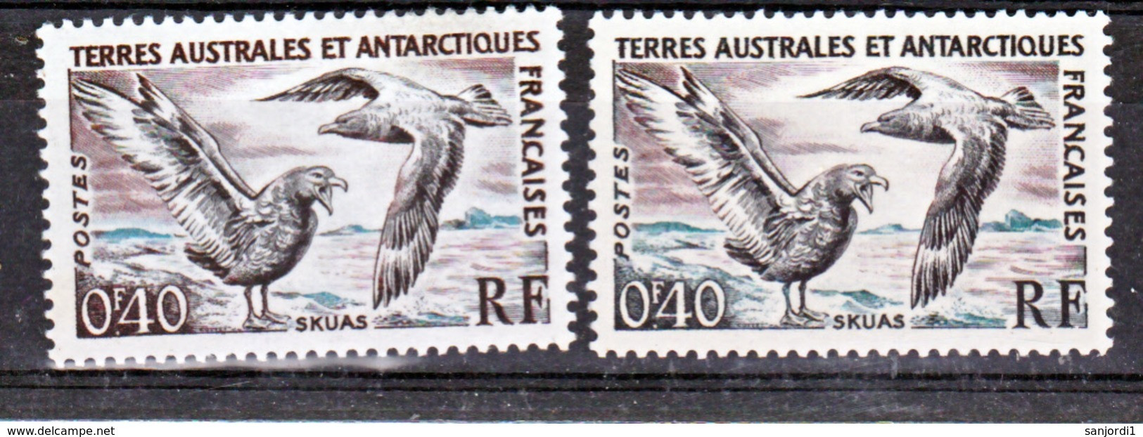 TAAF    13  Variété Skuas 0.40 Sur Fond Noir Et Sur Fond Brun  Neuf ** MNH Sin Charmela - Imperforates, Proofs & Errors