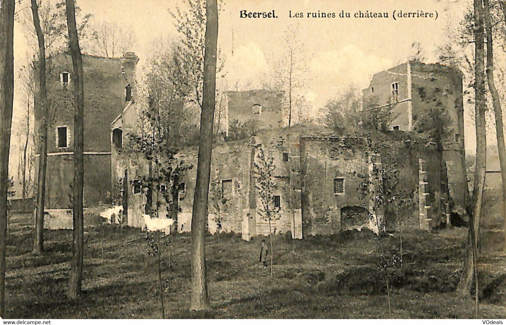 Belgique - Brabant Flamant - Beersel - Les Ruines Du Château (derrière) - Beersel