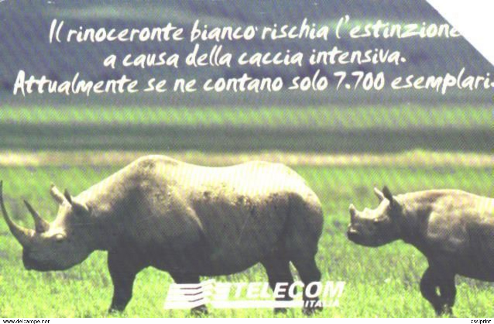 Italy:l:Used Phonecard, Telecom Italia, 5000 Lire, Rhinoceros, 2003 - Öff. Themen-TK