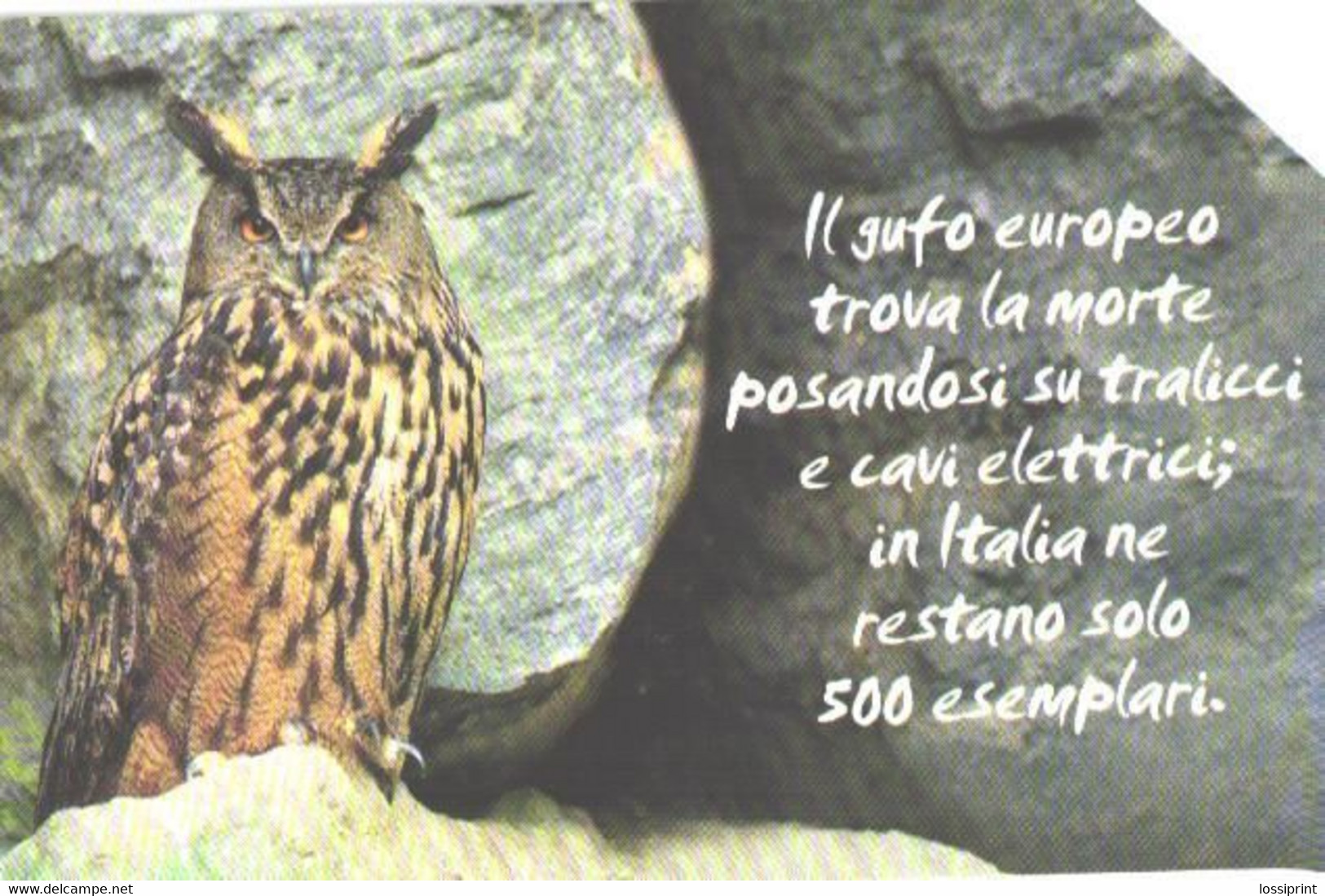 Italy:Used Phonecard, Telecom Italia, 10000 Lire, Owl - Publiques Thématiques
