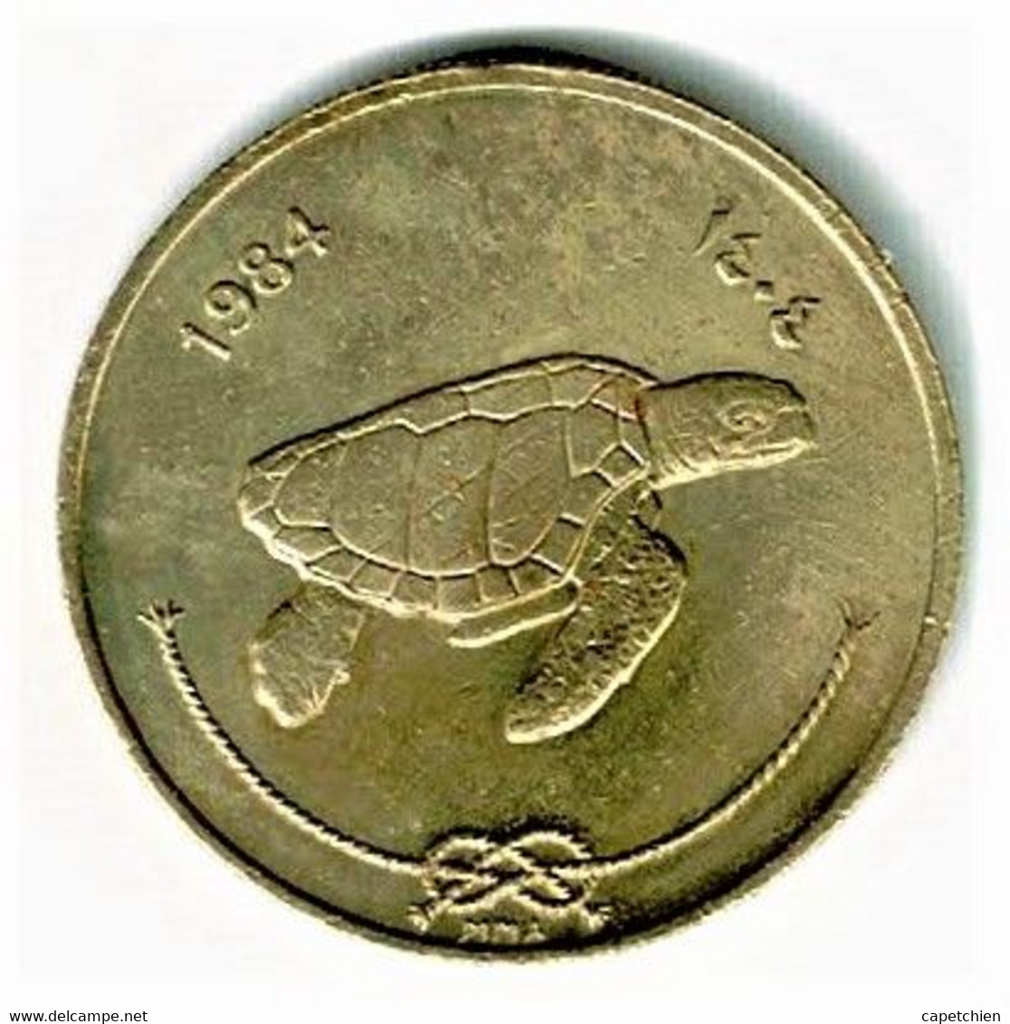 MALDIVES / 50 LAARI / 1984 - 1404 - Maldivas