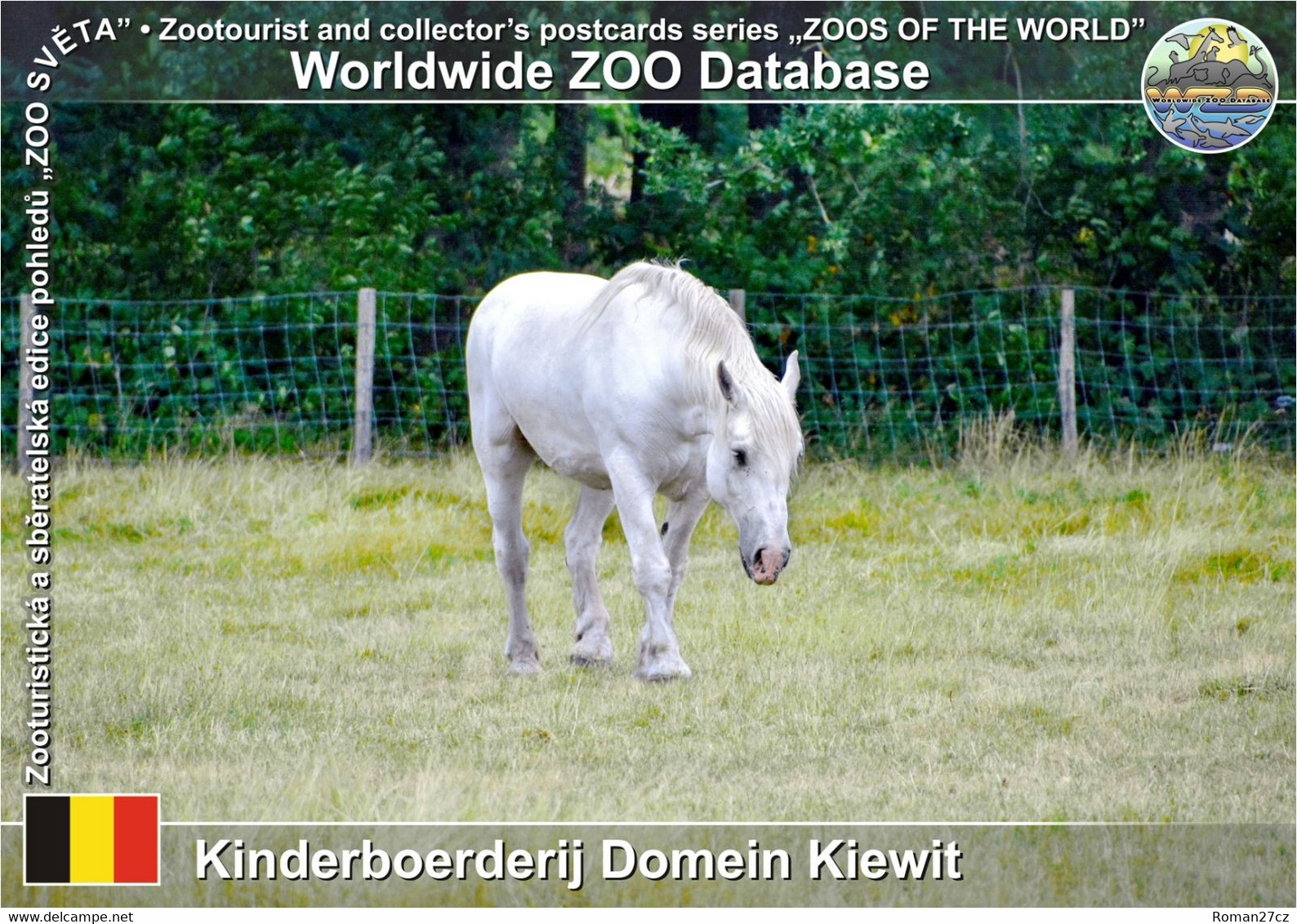 01193 Kinderboerderij Domein Kiewit, BE - Domestic Horse (Equus Ferus F. Caballus) - Hasselt