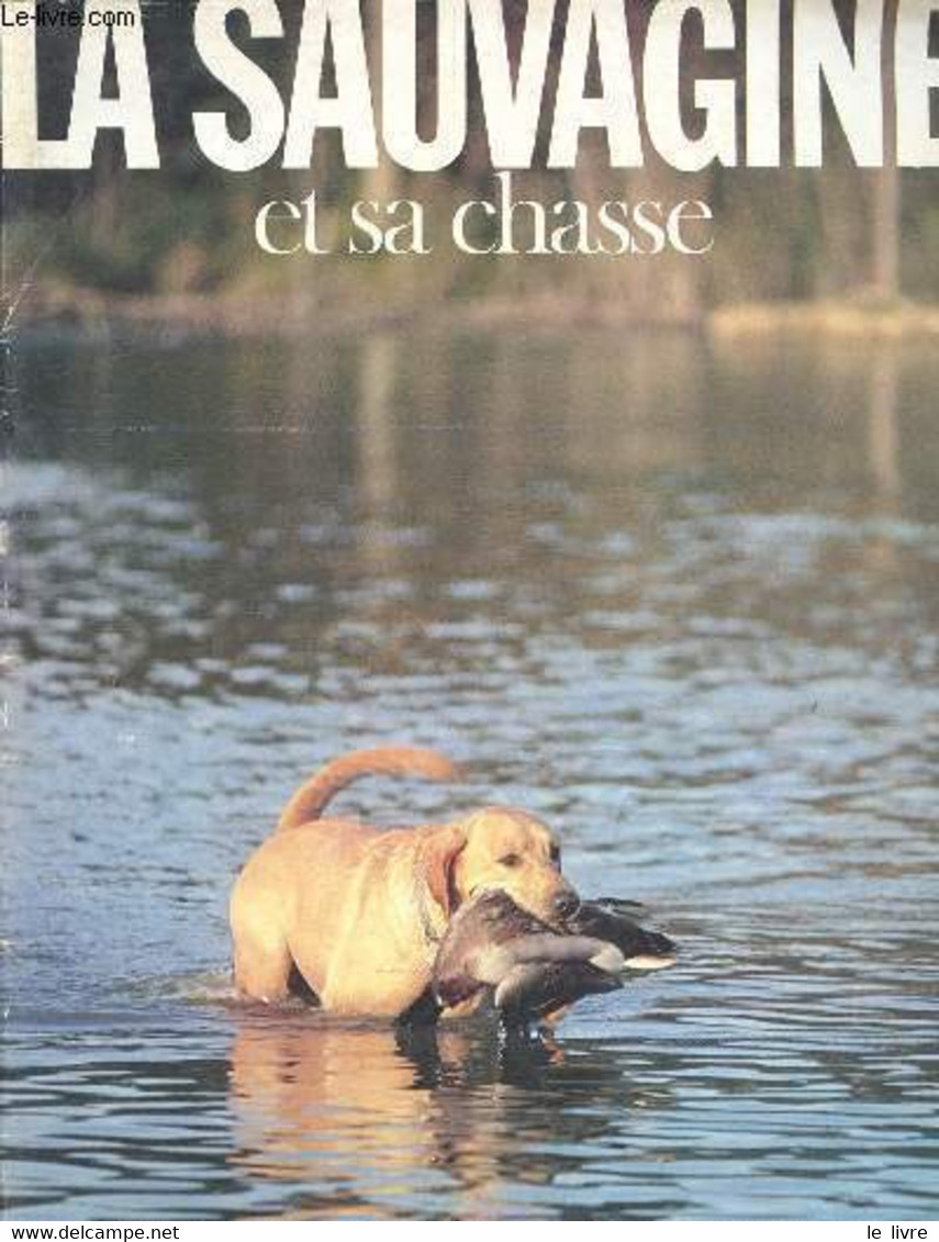 La Sauvagine Et Sa Chasse N°202 Octobre 1980 - Editorial - L'ouverture De Juillet 1980 Un Très Grand Cru - La Collaborat - Autre Magazines