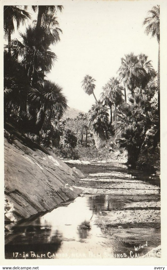 In Palm Canyon, Near Palm Springs, California  Real Photo Post Card - Palm Springs