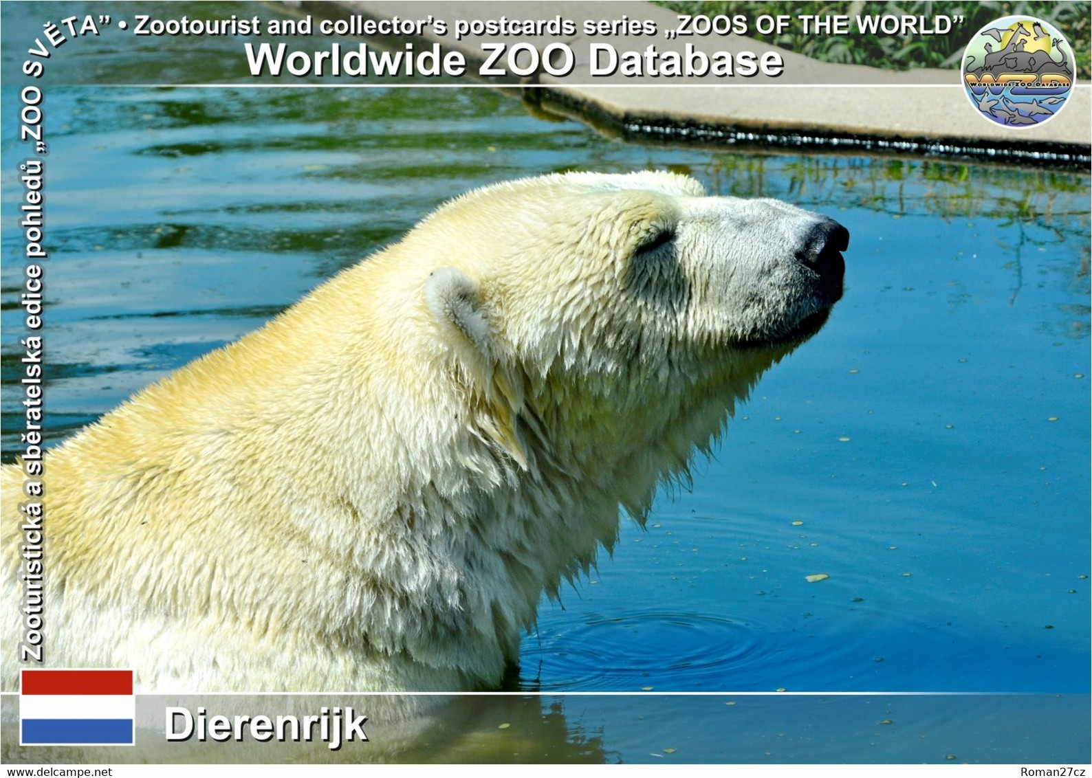 01266 Dierenrijk, NL - Polar Bear  (Ursus Maritimus) - Geldrop