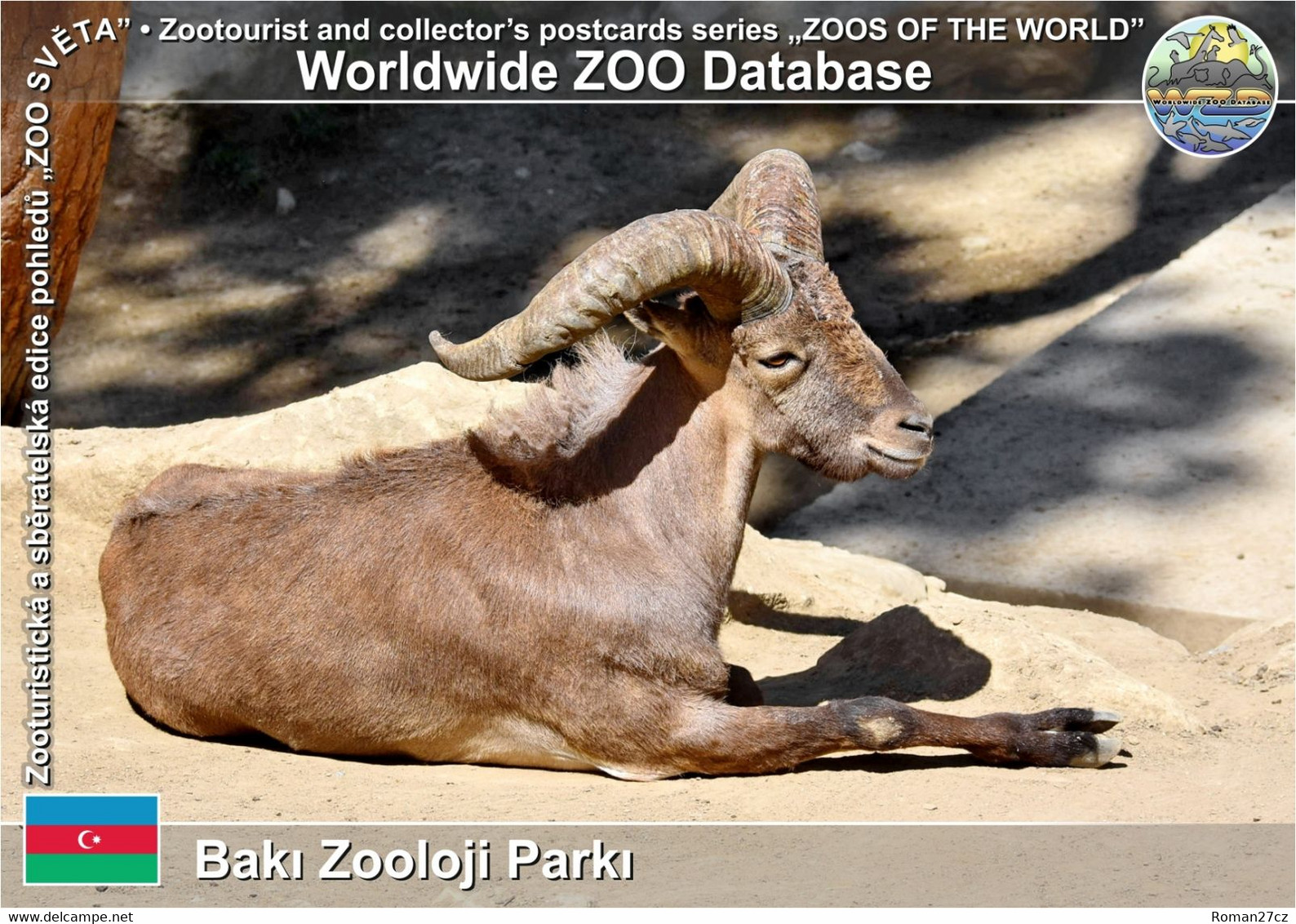 01314 Baku Zoo, AZ - East Caucasian Tur (Capra Cylindricornis) - Azerbaiyan