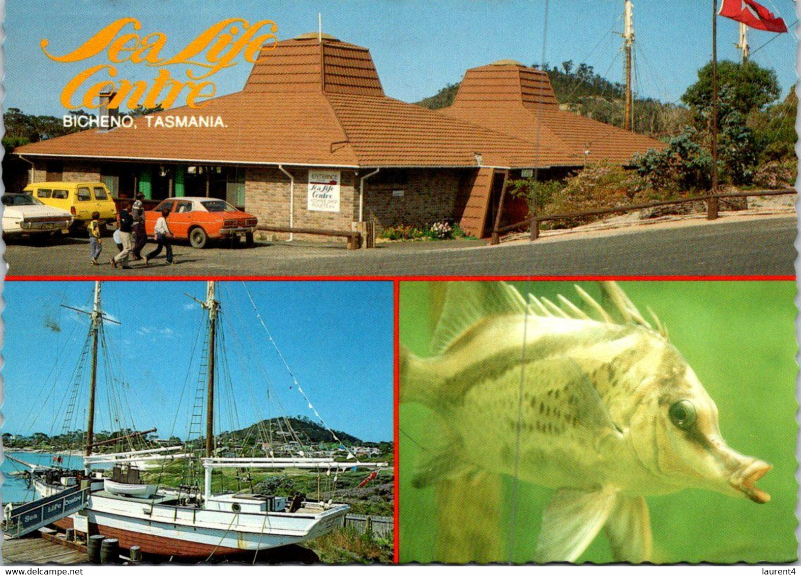 (3 Oø 30) Australia - TAS - Sea Life Centre In Bicheno (posted With Flower Stamp) - Sonstige & Ohne Zuordnung