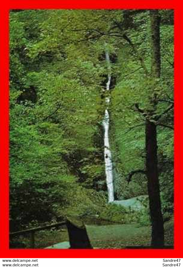 2 CPSM/gf  TAVISTOCK (Angleterre)  The River Lyd Running Fast Among Boulders / The White Lady Waterfall. ..*165 - Plymouth