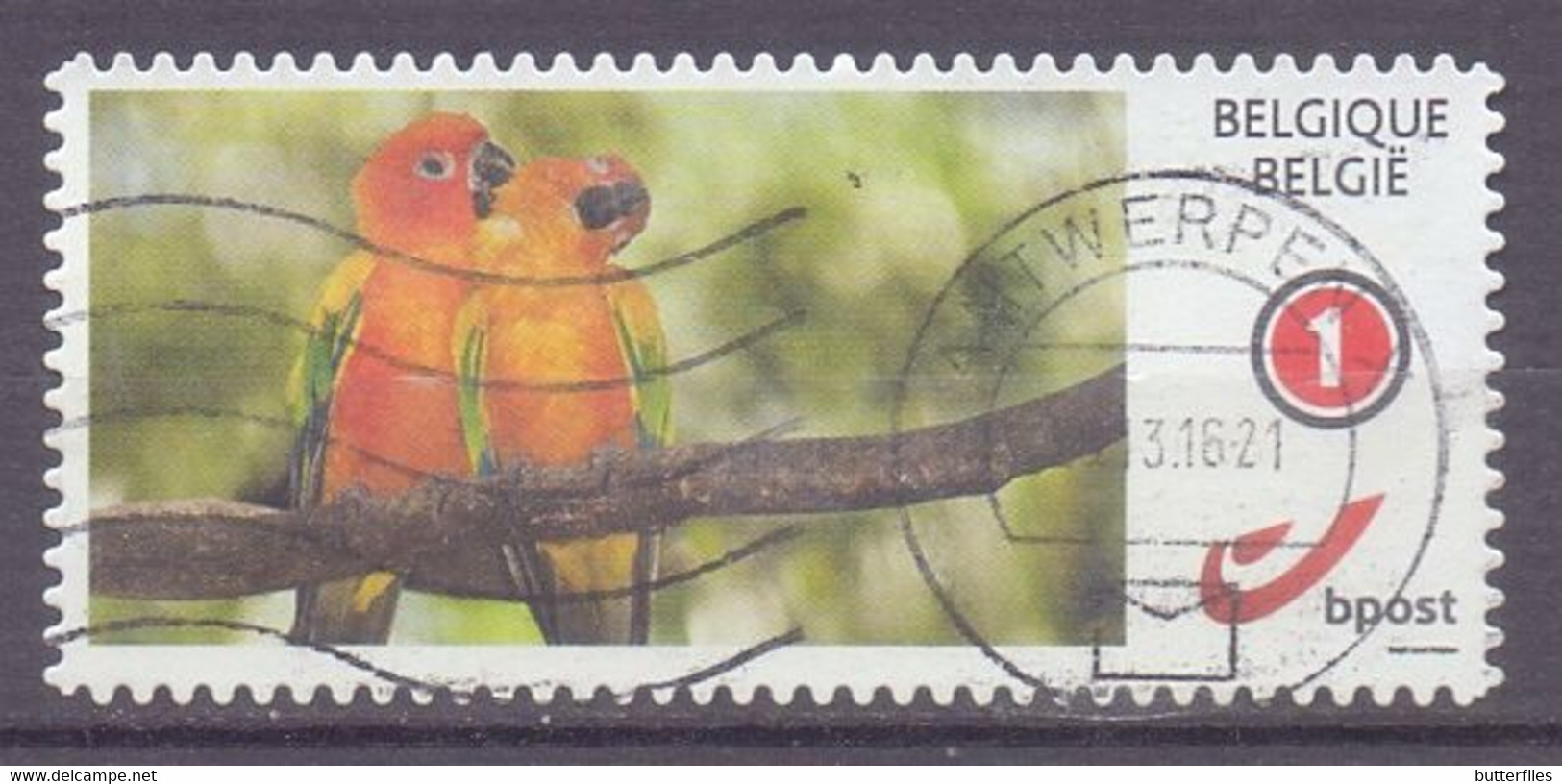 België - Duostamp  - Vogels - Parkieten - Zonder Papierresten - Used