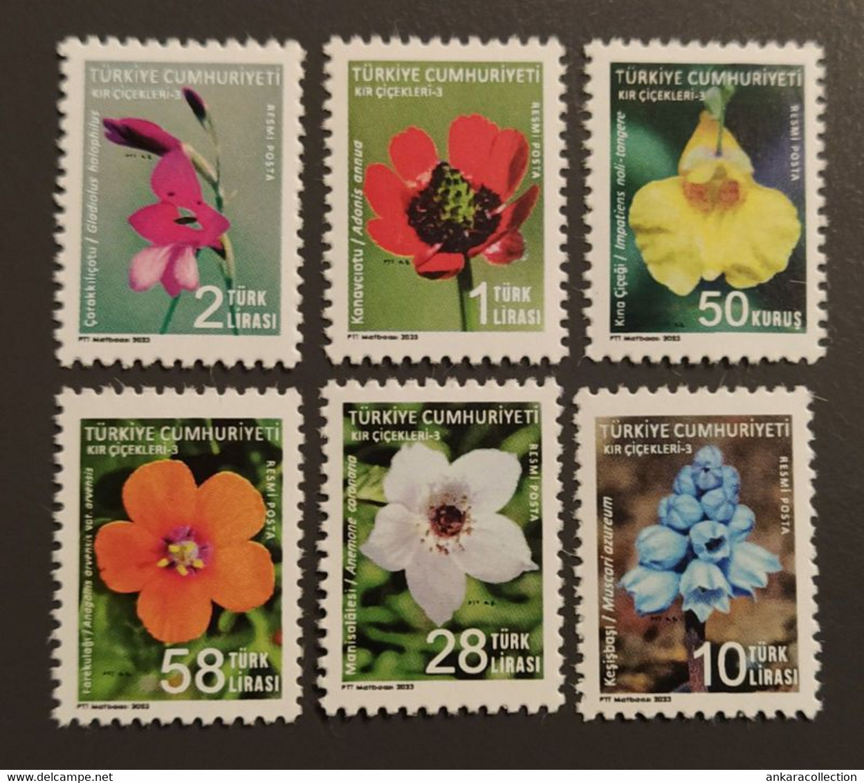 AC - TURKEY STAMP -  WILD FLOWERS - 3 THEMED OFFICIAL POSTAGE STAMPS MNH 09 FEBRUARY 2023 - Official Stamps