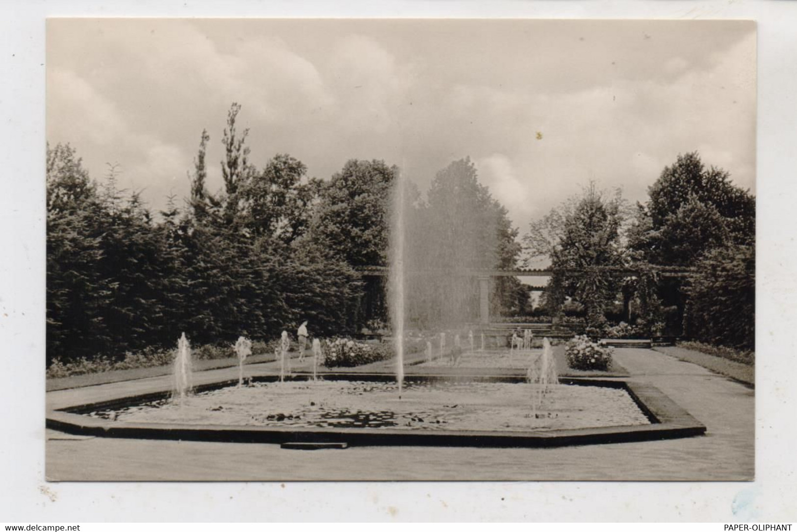0-7570 FORST / Lausitz, Rosengarten, Springbrunnen, 1959 - Forst