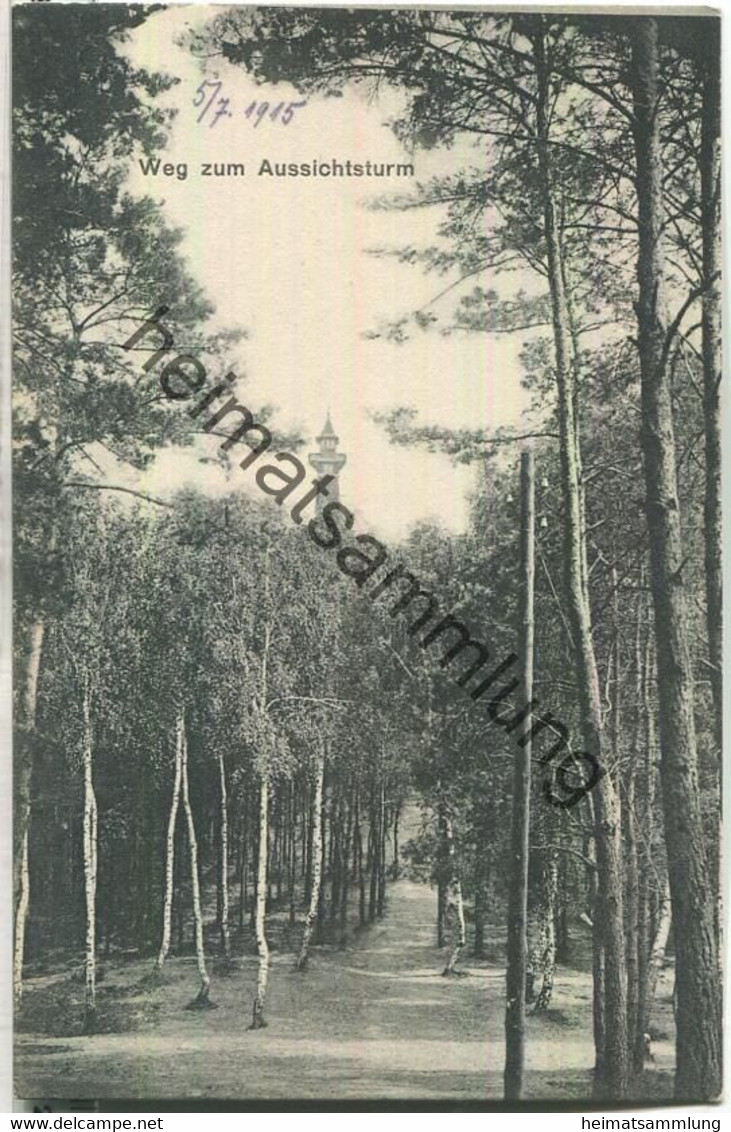 Berlin - Weg Zum Aussichtsturm - Verlag Paul Rothe Teufelssee Bei Cöpenick - Köpenick