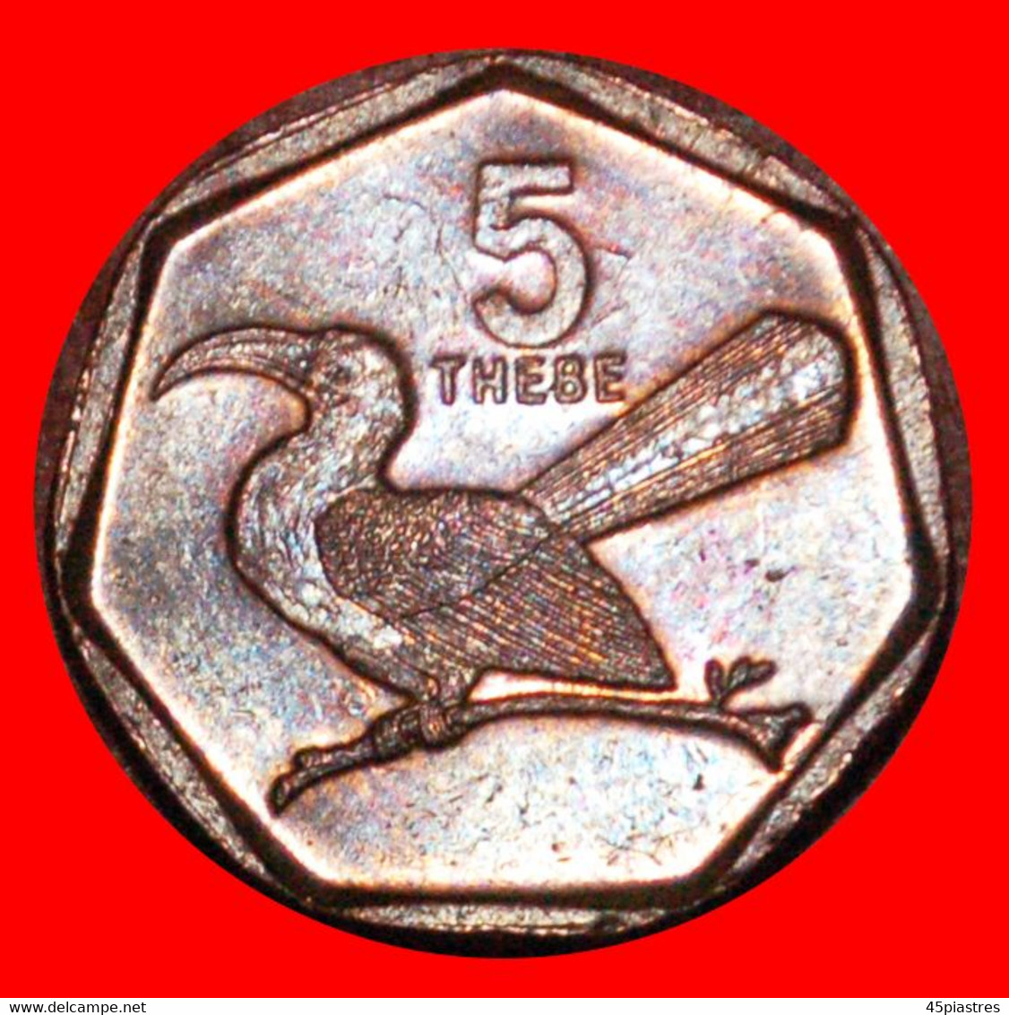 * SOUTH AFRICA (1998-2009): BOTSWANA  5 THEBE 2002 BIRD! LOW START   NO RESERVE! - Botswana