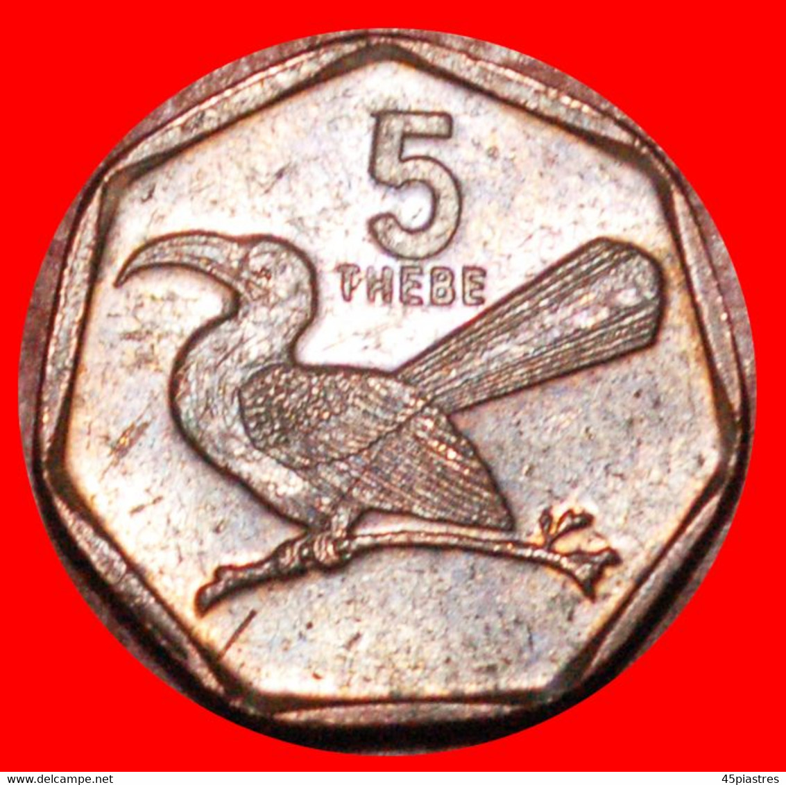 * SOUTH AFRICA (1998-2009): BOTSWANA  5 THEBE 2009 BIRD! LOW START   NO RESERVE! - Botswana