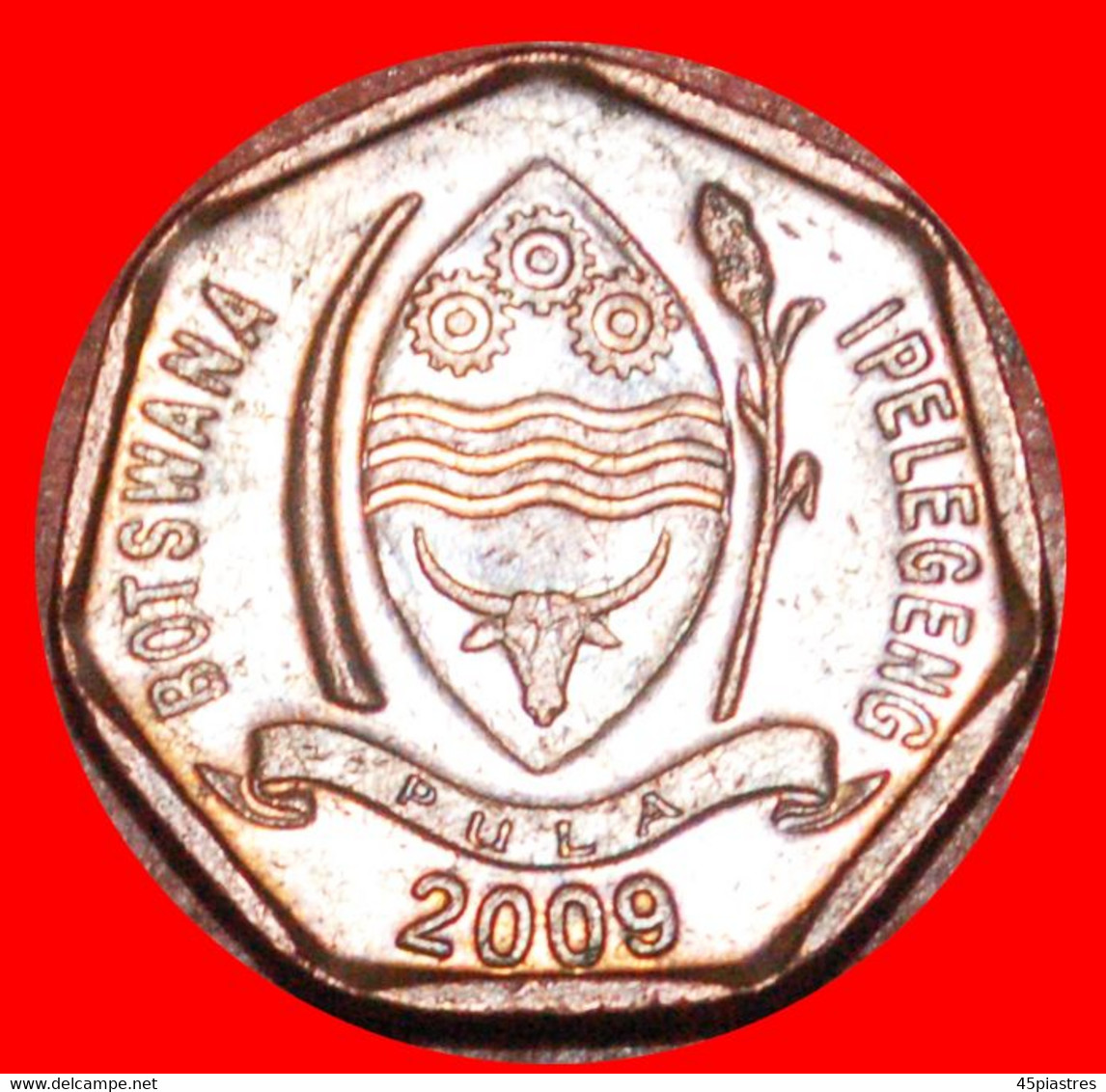 * SOUTH AFRICA (1998-2009): BOTSWANA  5 THEBE 2009 BIRD! LOW START   NO RESERVE! - Botswana