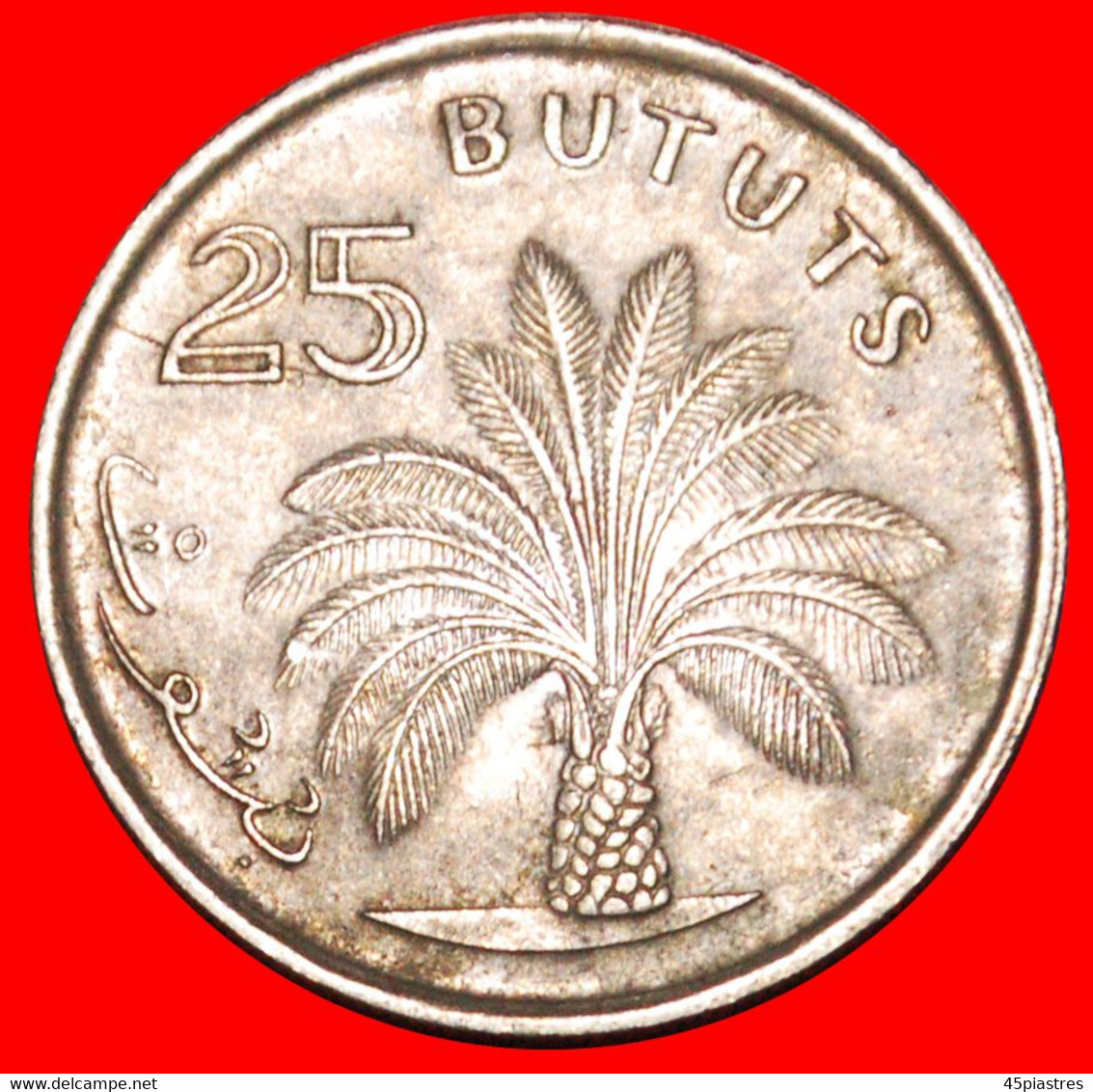 * GREAT BRITAIN: THE GAMBIA  25 BUTUTS 1998 PALM TREE!  LOW START   NO RESERVE! - Gambia