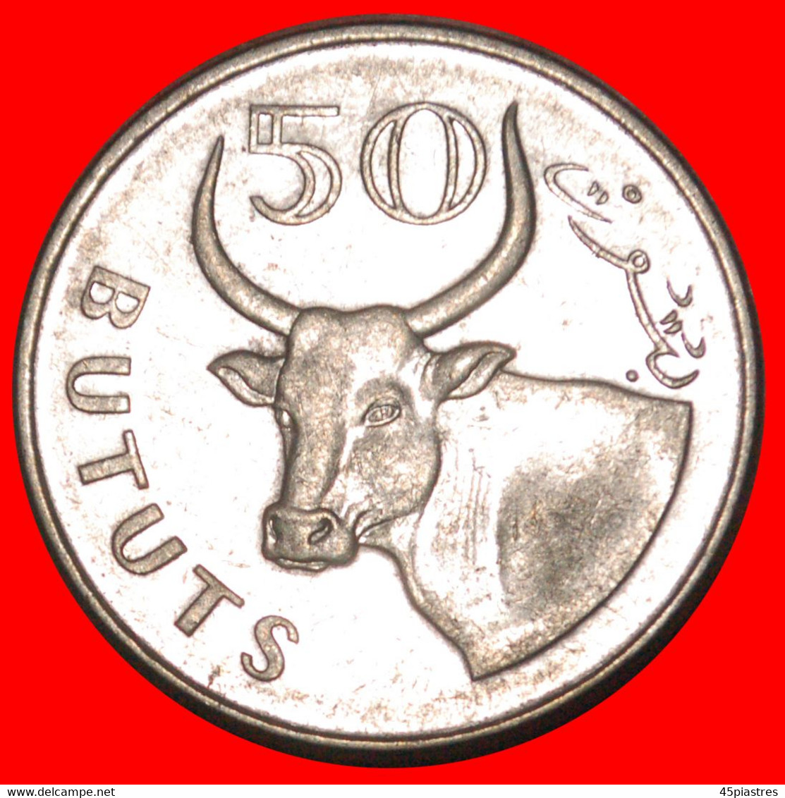 * BULL (2008-2016): THE GAMBIA  50 BUTUTS 2008!  LOW START   NO RESERVE! - Gambia