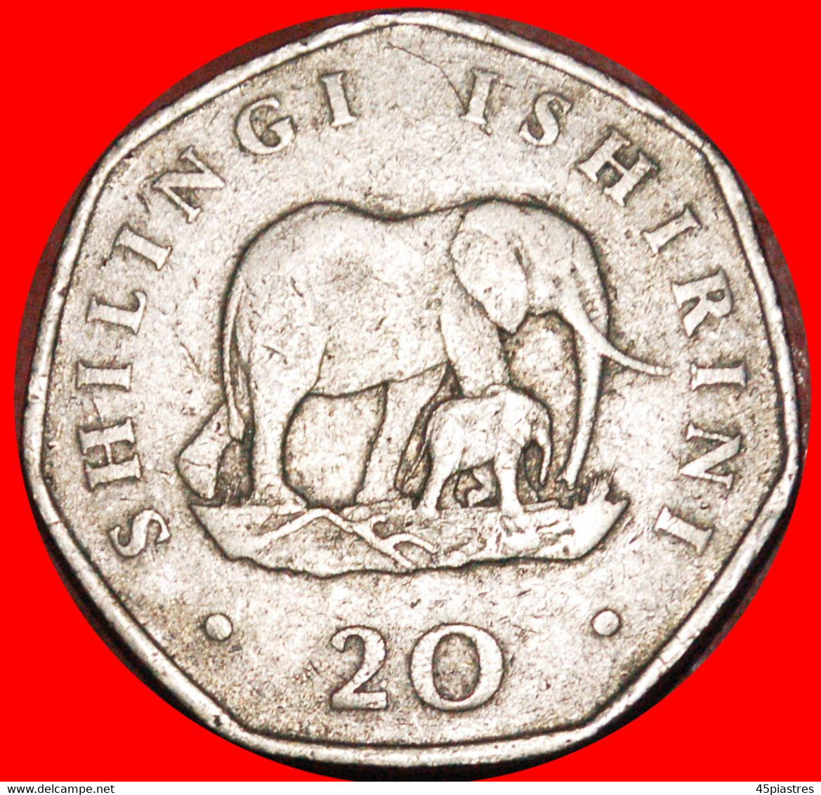 * ELEPHANT WITH CALF (1990-1991): TANZANIA  20 SHILLINGS 1991! MWINYI (1985-1995) · LOW START · · NO RESERVE! - Tanzanía