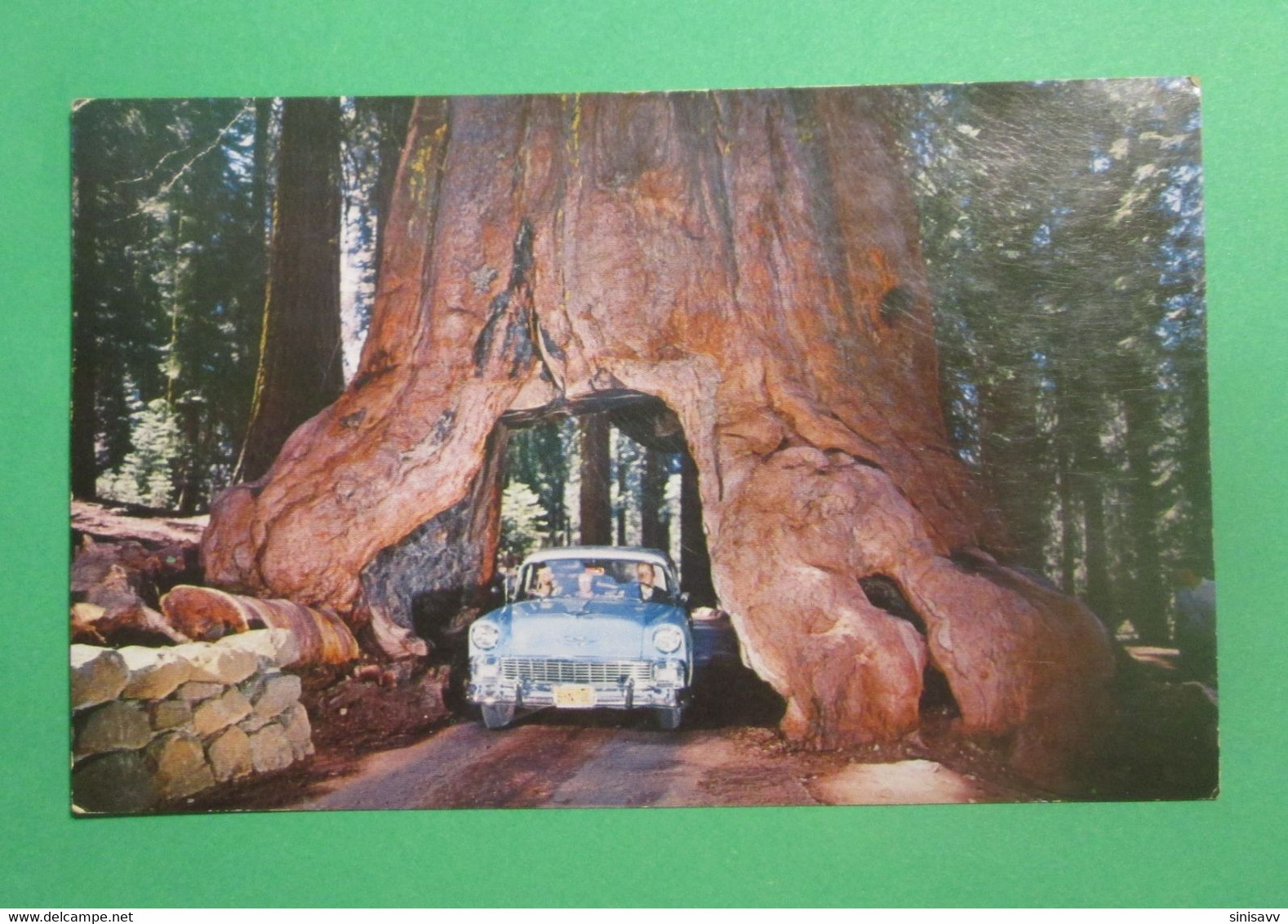 Yosemite National Park - California - Wawona Drive - Through Tree - Yosemite