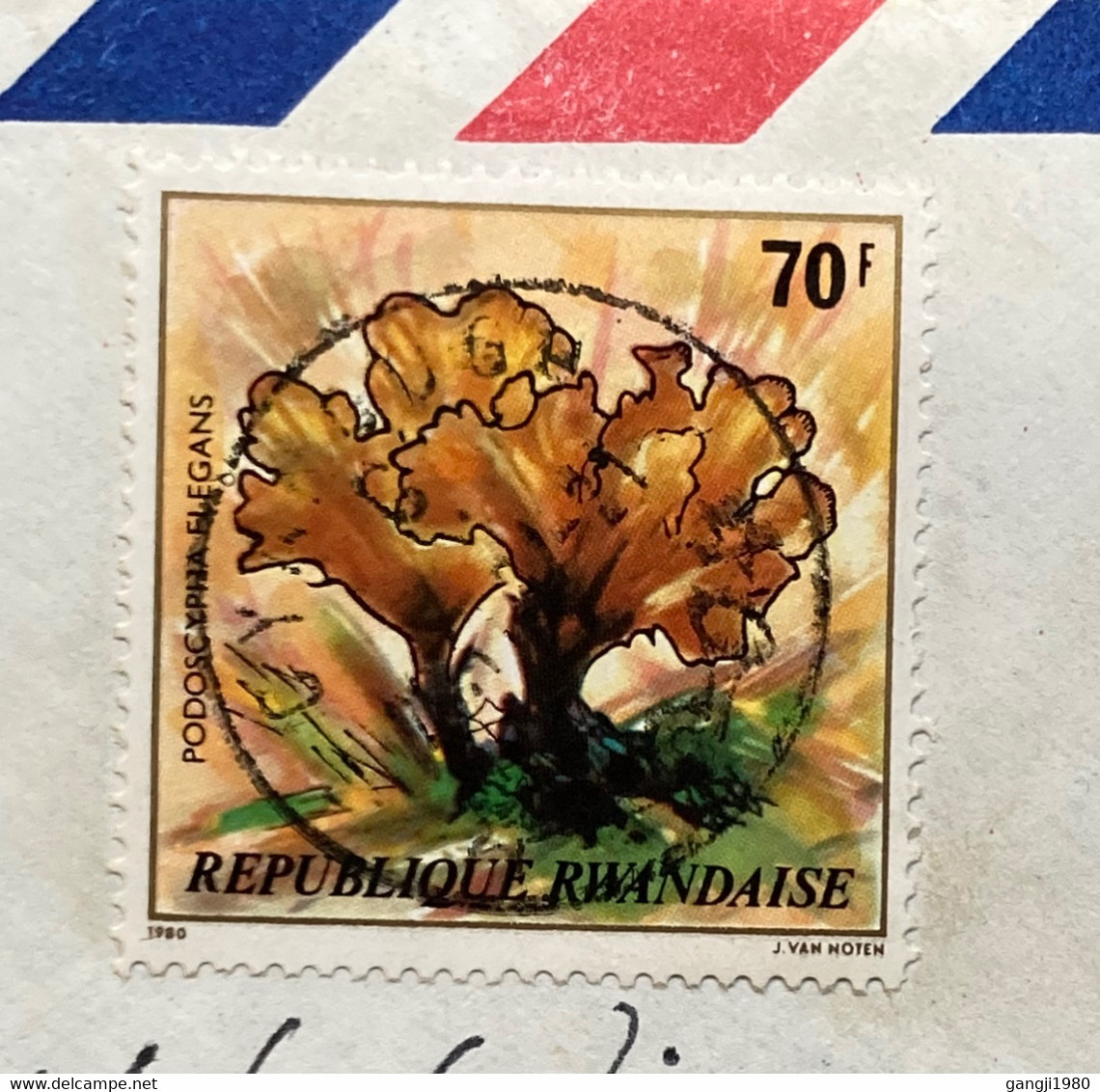 RWANDA -1980 COVER USED TO BELGIUM, PODOSCYPHA ELEGANS STAMP, CYANGUGU CITY CANCEL - Lettres & Documents