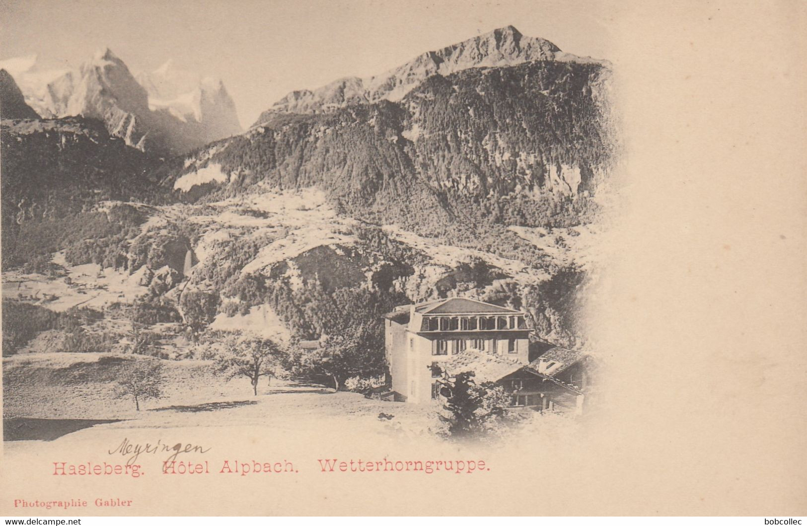 HASLEBERG: Hôtel Alpbach. Wetterhorngruppe - Hasle Bei Burgdorf