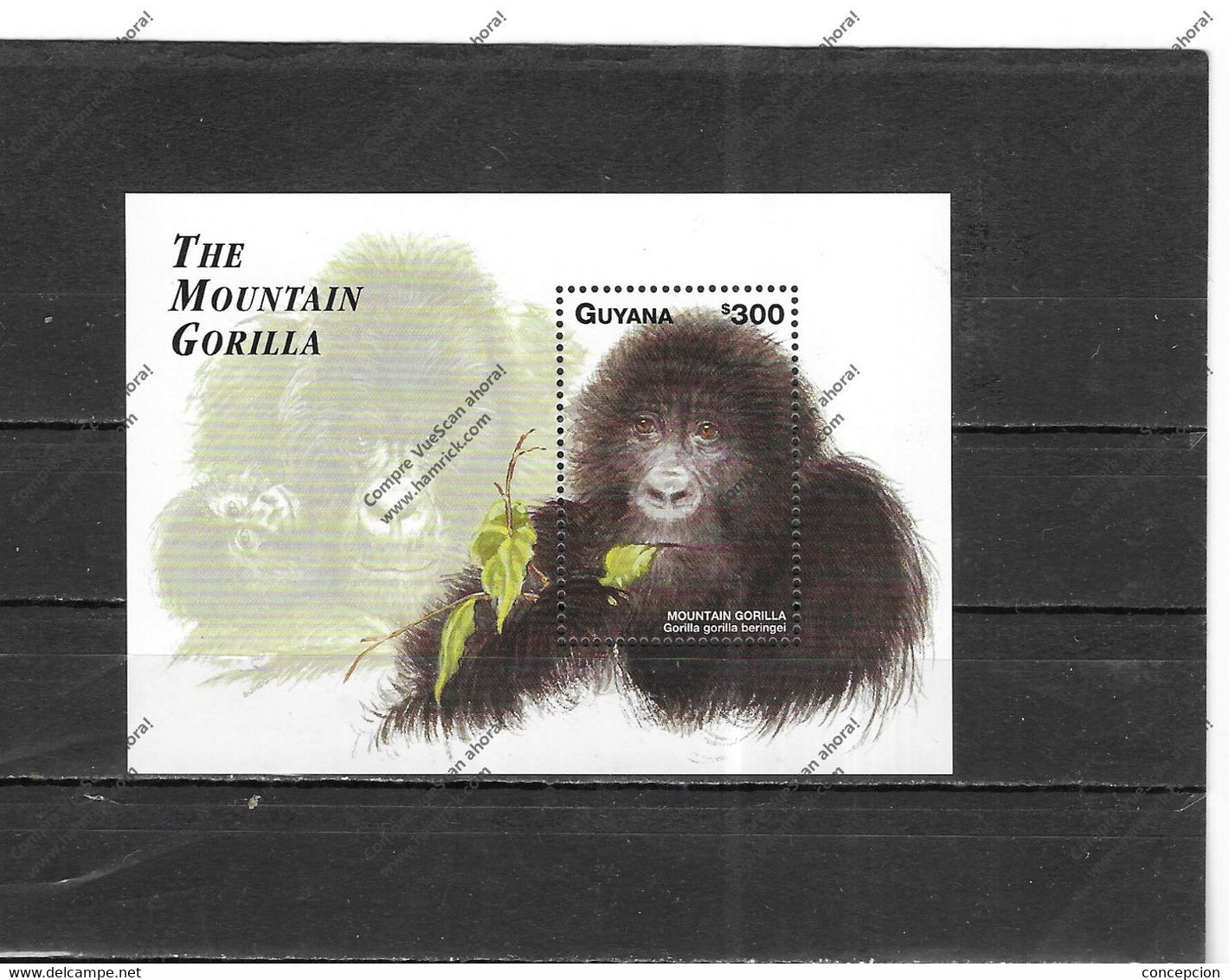 GUAYANA Nº HB 309 - Gorilla's