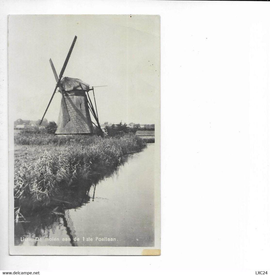 LISSE. DE MOLEN AAN DE 1 STE POELLAAN - Lisse