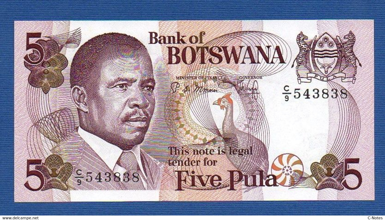 BOTSWANA - P. 8b –  5 PULA Nd (1982) UNC Prefix C/9 543838 - Botswana