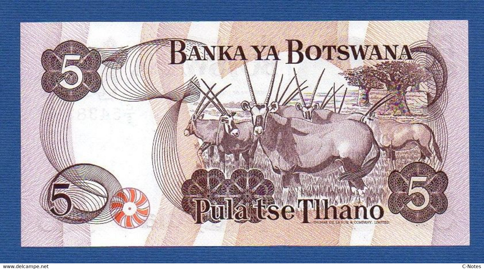 BOTSWANA - P. 8b –  5 PULA Nd (1982) UNC Prefix C/9 543838 - Botswana