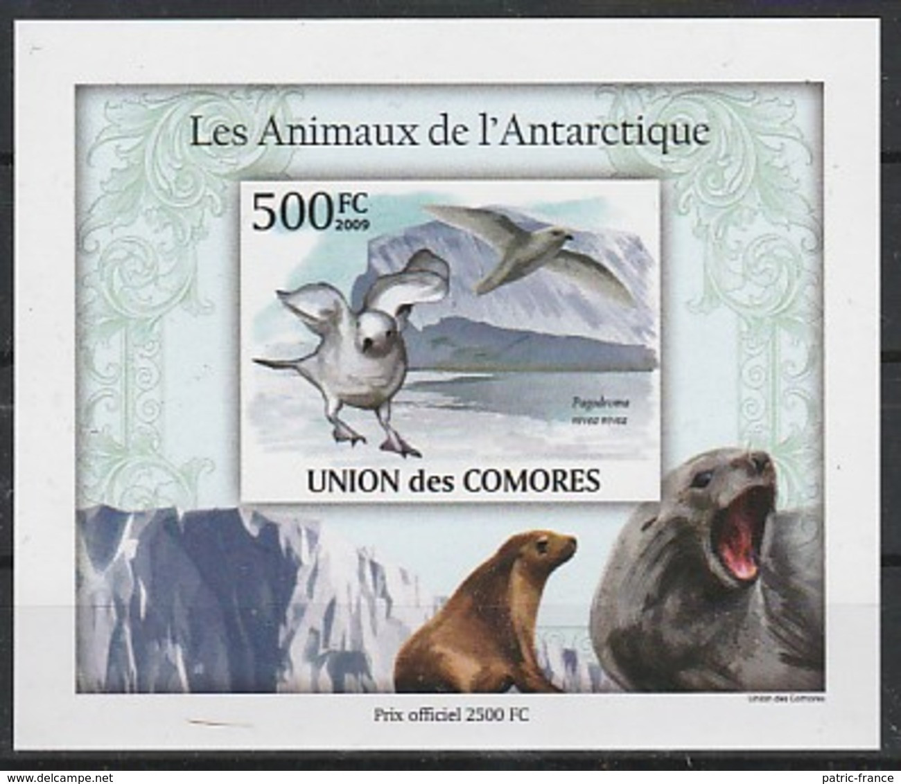 COMORES 2009 -  Année Polaire Internationale, Arctique, Antarctique, Fonte Des Glaces, Manchots - 4 Blocs ND - Faune Antarctique