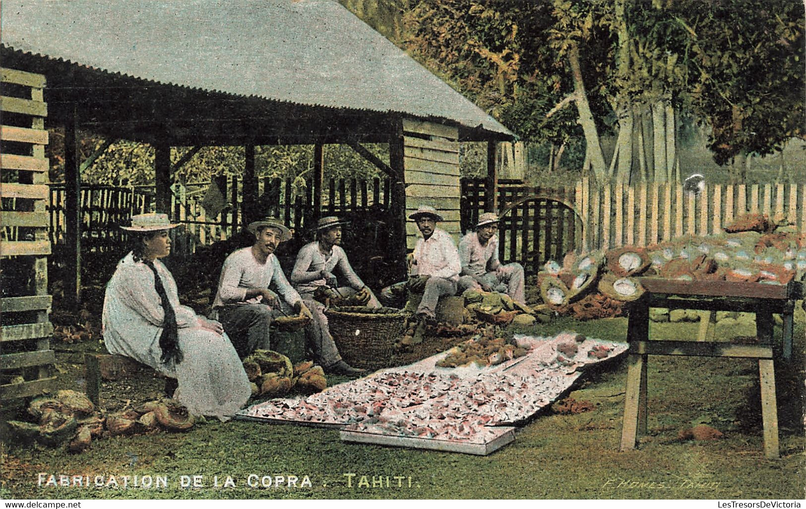 Tahiti - Fabrication De La Copra - Précurseur - Colorisé - Edit. F. Hones - Carte Postale Ancienne - Tahiti