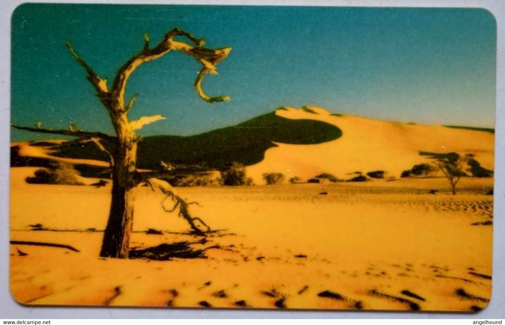 Namibia N$10 " Dead Tree ( Blue Rev ) " - Namibie