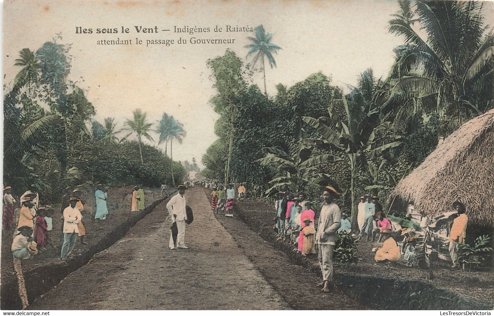 Tahiti - Iles Sous Le Vent - Indigènes De Raiatéa Attendant Le Passage Du Gouverneur - Colorisé - Carte Postale Ancienne - Tahiti