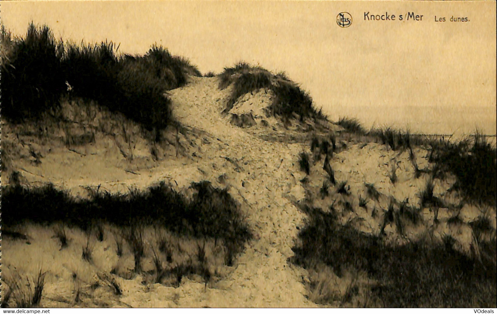 Belgique - Flandre Occidentale - Knokke - Knocke-Zoute - Les Dunes - Knokke