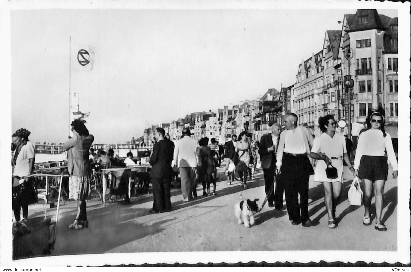 Belgique - Flandre Occidentale - Knokke - Knocke-Zoute - Dugue - Knokke