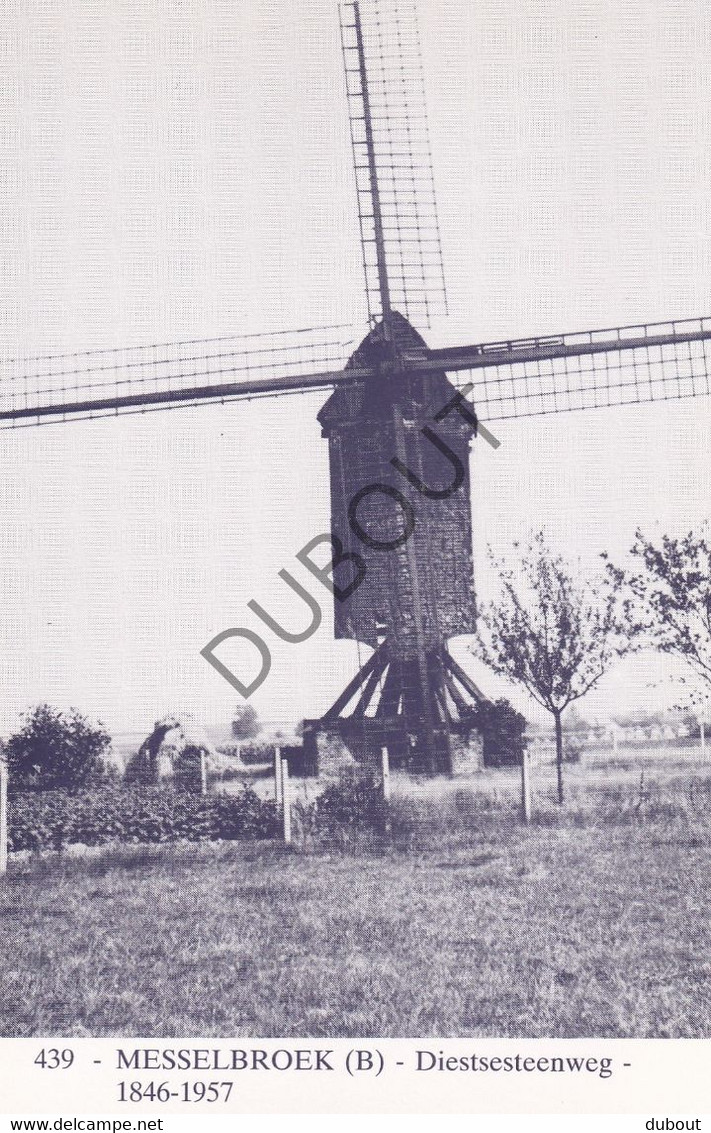 Postkaart/Carte Postale -  Messelbroek  - Diestsesteenweg (C3532) - Scherpenheuvel-Zichem